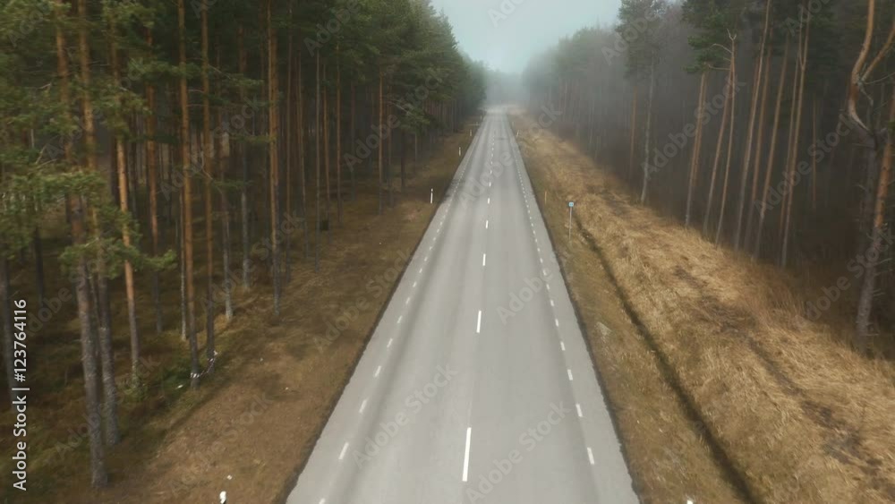 Aerial Drone Shot of Highway Road in Forest in Foggy Day Aerial Drone Shot of Highway Road in Forest in Foggy Day