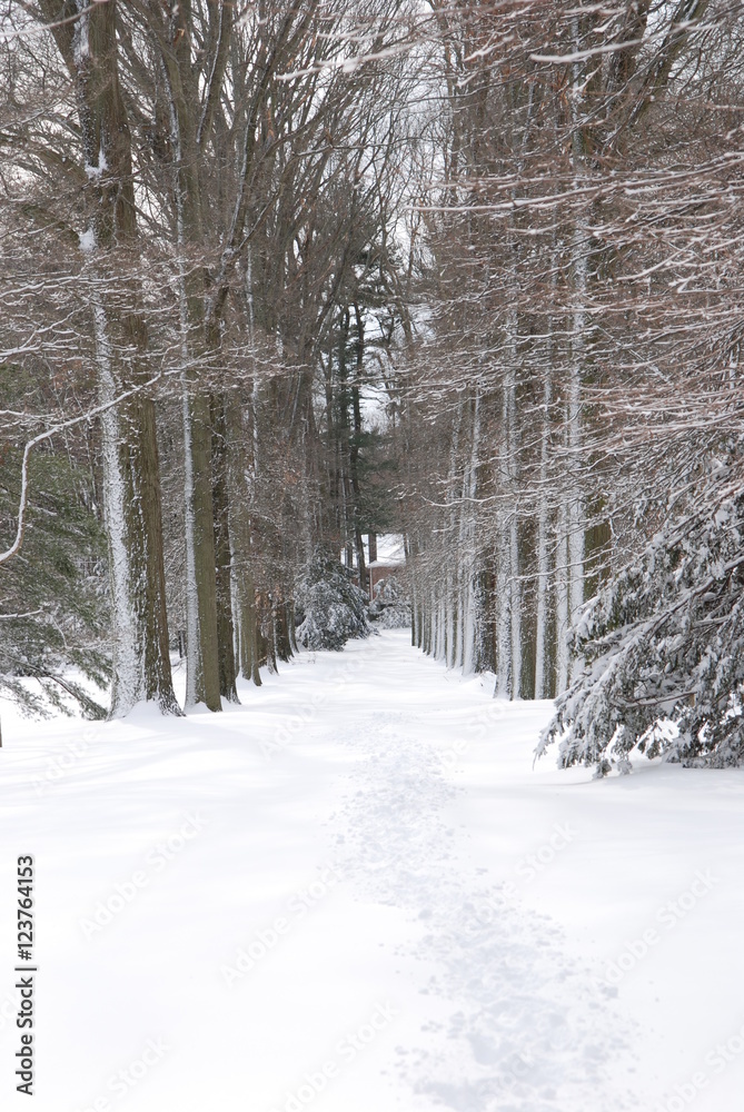 Old Westbury Garden Snow