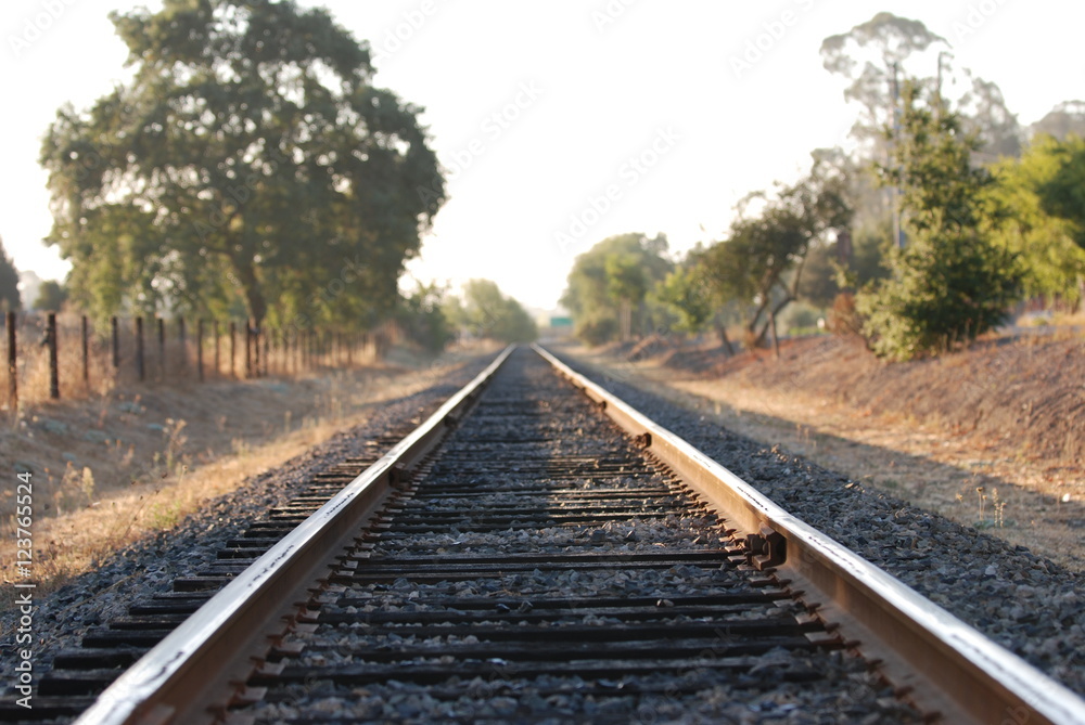 Fototapeta premium Napa Valley train tracks