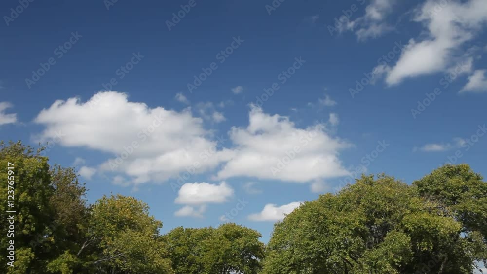 Wind blowing trees with a beautiful blue sky and clouds. Wind blowing trees with a beautiful blue sky and clouds.