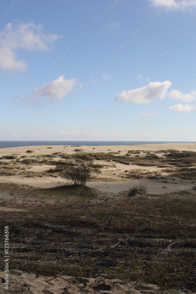 Curonian coast