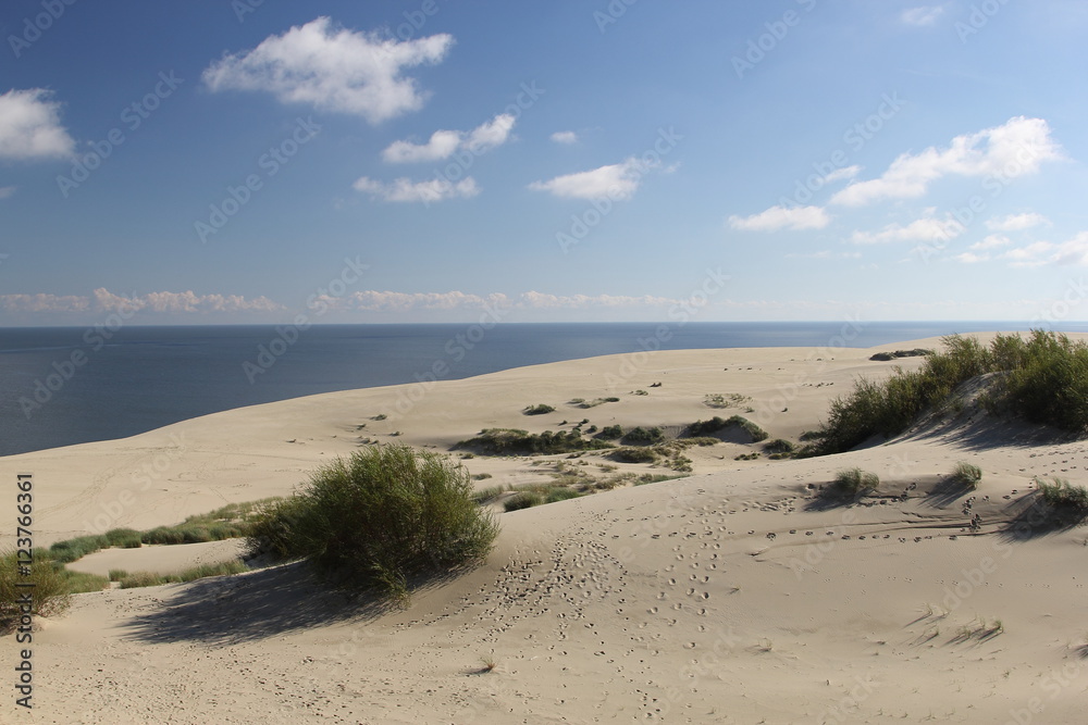 Curonian coast