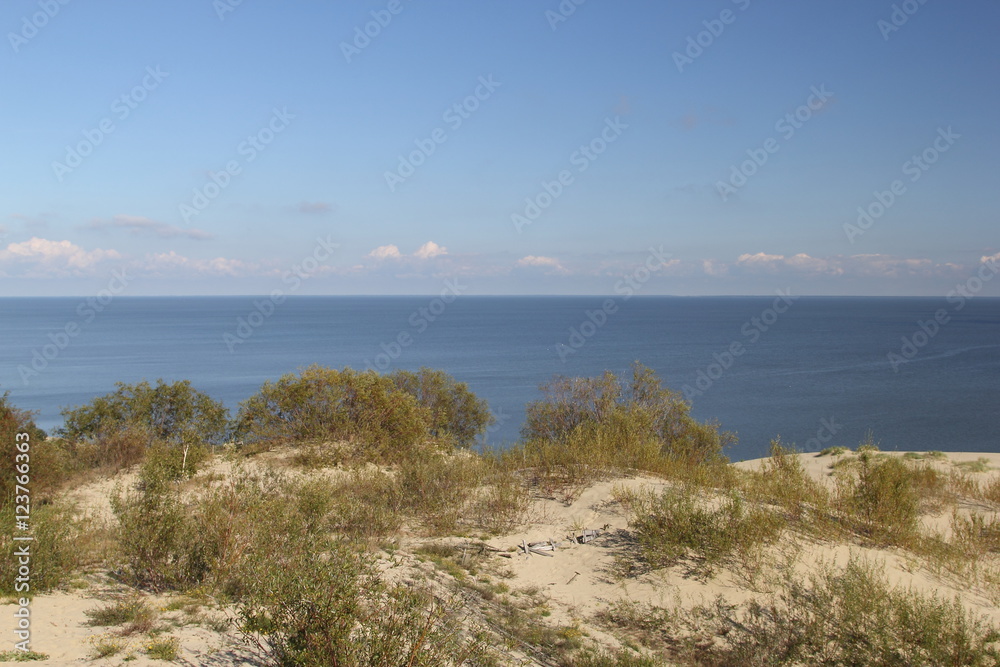 Curonian coast