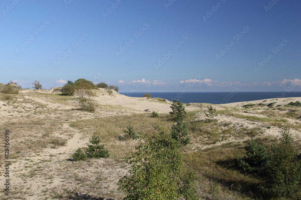 Curonian coast