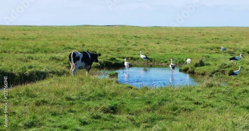 In the thurm cap of St. Peter-Ording in Germany
