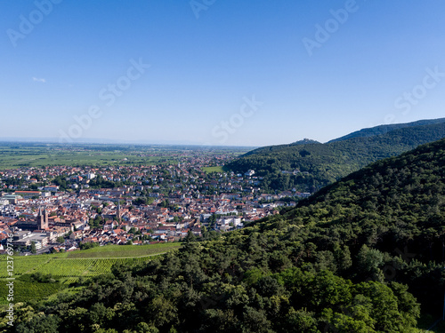 Neustadt an der Weinstraße Pfalz Rheinland Pfalz