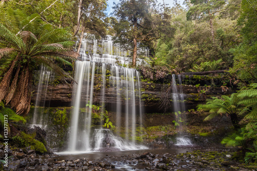 Famous Russel Falls  Mount Field National Park  Tasmania  Australia