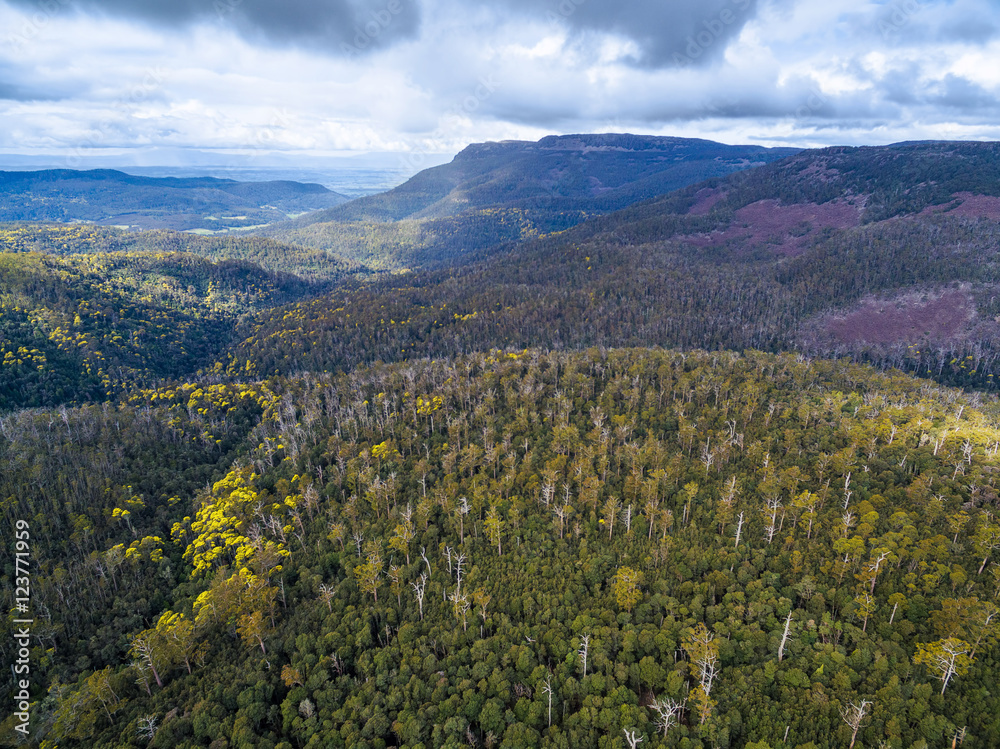 Aerial view of mountains and forest near Highland Lakes Road, Liffey, Tasmania, Australia