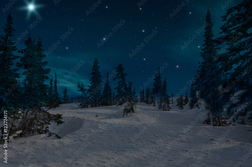 custom made wallpaper toronto digitalspruce forest night snow stars