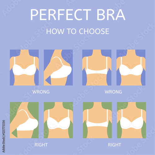 The bra for women. How to choose. Stock Vector