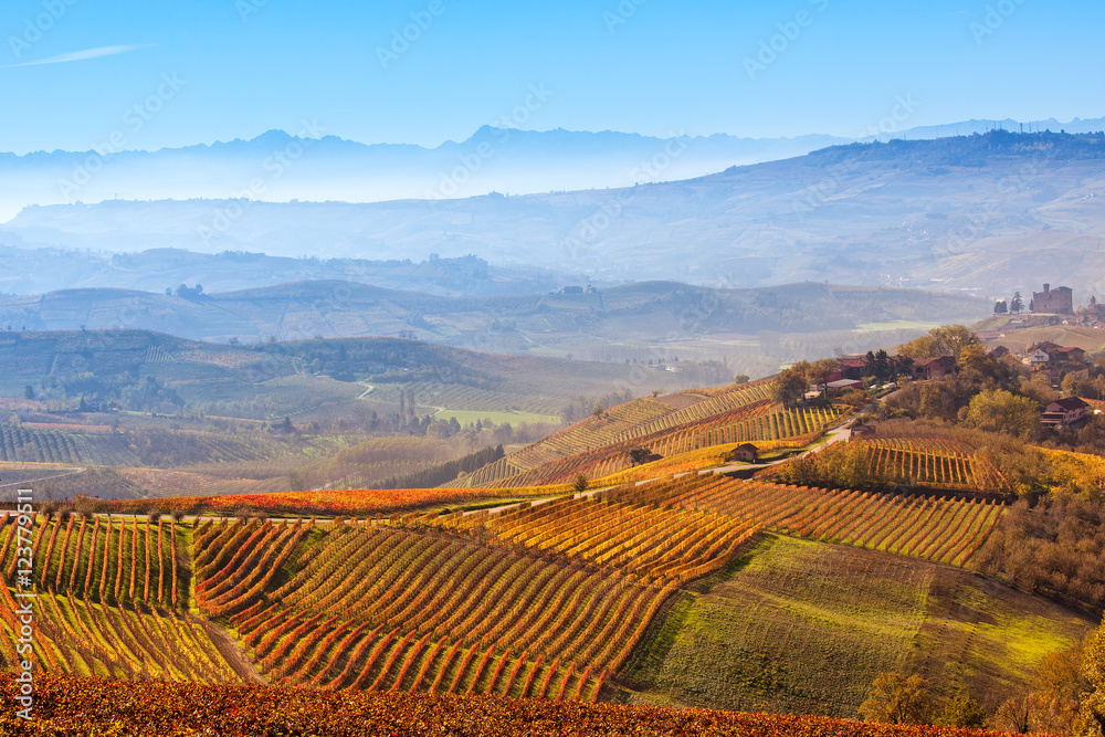 Colorful autumnal vineyards and foggy hills in Italy.