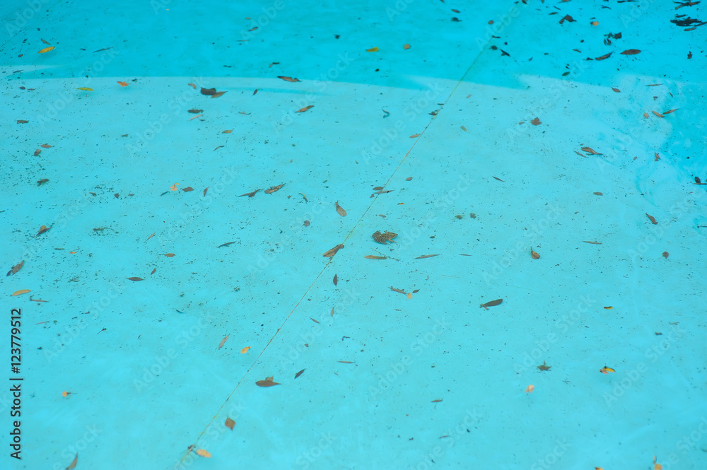 Dirty foliage in the pool Dirty foliage in the pool