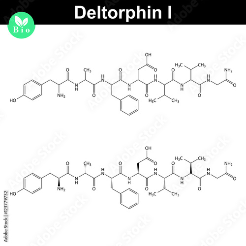Deltorphin I exogenous opioid peptide