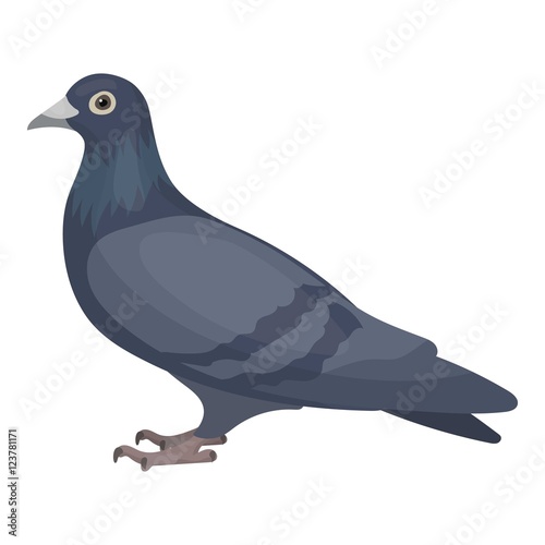 Pigeon icon in cartoon style isolated on white background. Bird symbol stock vector illustration.