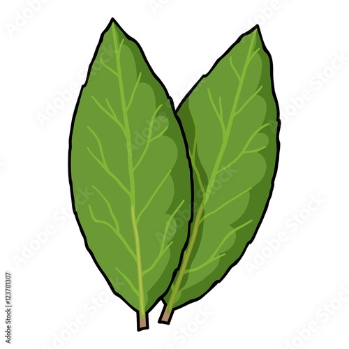 Laurus icon in cartoon style isolated on white background. Herb an spices symbol stock vector illustration.
