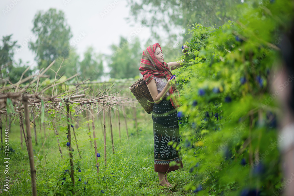Beautiful Asian woman farmer in flower farm. holding butterfly Beautiful Asian woman farmer in flower farm. holding butterfly