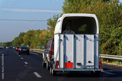  Transport chevaux