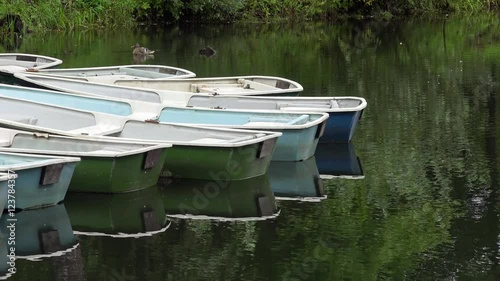 boats on the shore of the pond