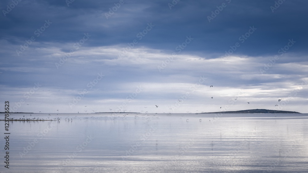 Seasapewith horizon and birds