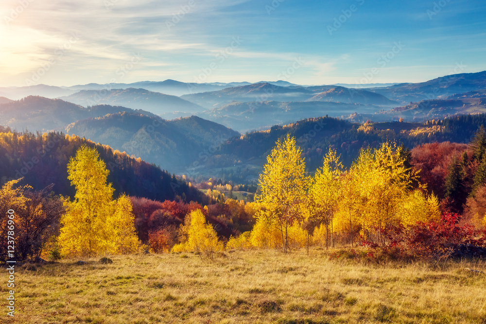 Fototapeta premium Majestic autumn landscape