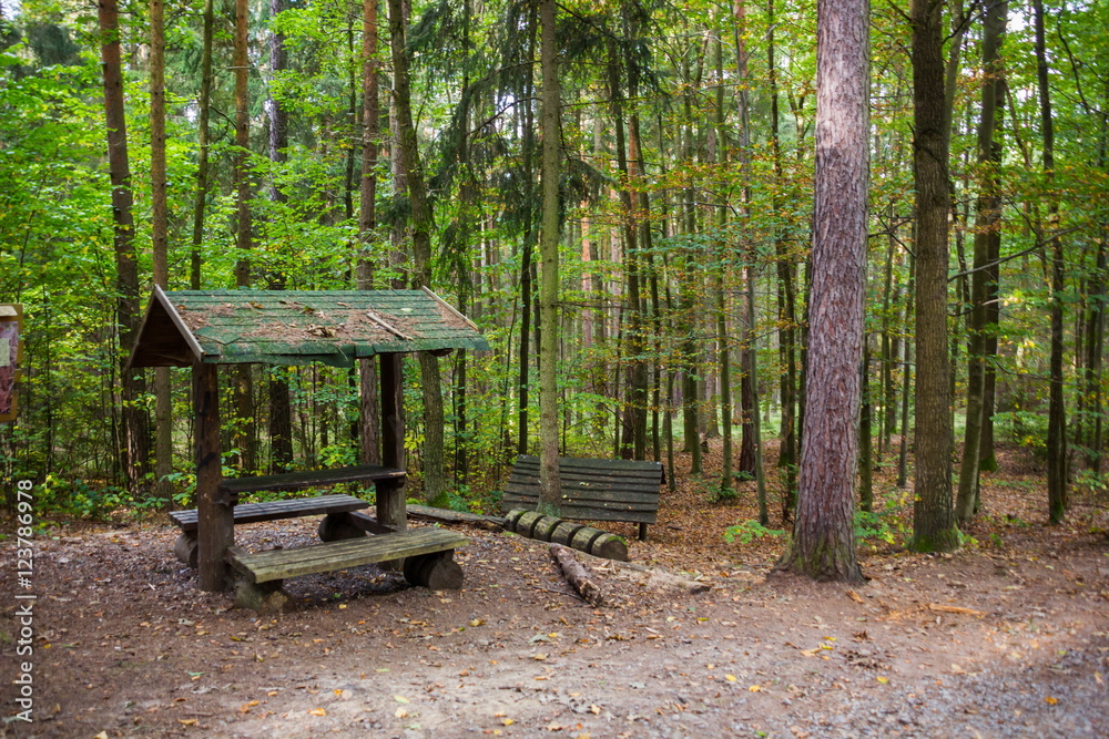 Alcove in forest, South Bohemian region, Czech Republic. Alcove in forest, South Bohemian region, Czech Republic.
