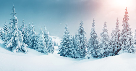 beautiful wintry landscape