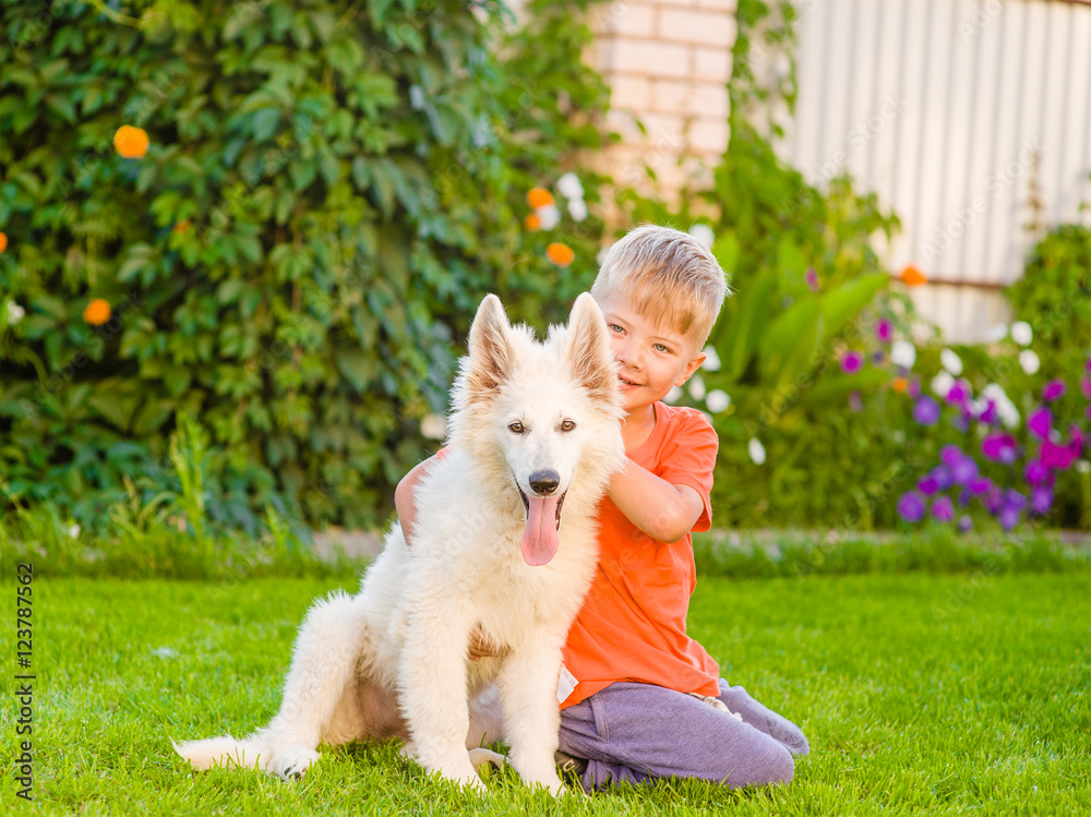 Happy boy embracing White Swiss Shepherd`s puppy Happy boy embracing White Swiss Shepherd`s puppy
