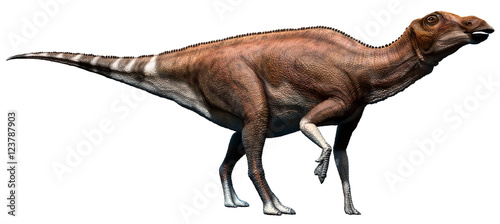Brachylophosaurus hadrosaurid dinosaur 3D illustration © warpaintcobra