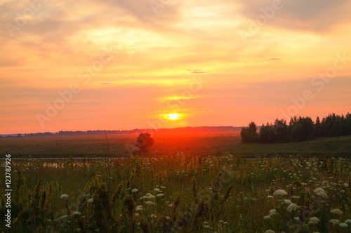 field with green grass against the sunset sky
