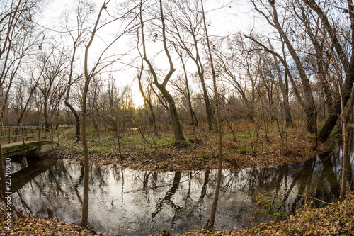 Late autumn in the park with beautiful, colorful leaves. Fisheye lens effects