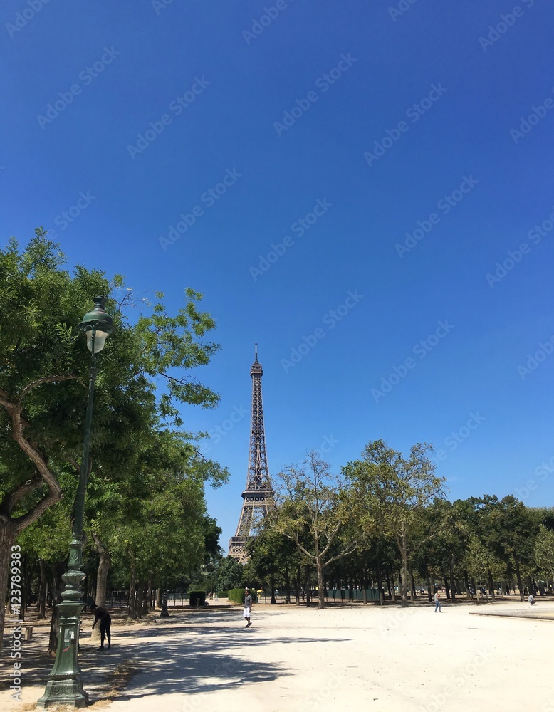  PARIS, FRANCE - AUGUST 15, 2016 : champs de mars with Eiffel Tower behind on background during summer. 