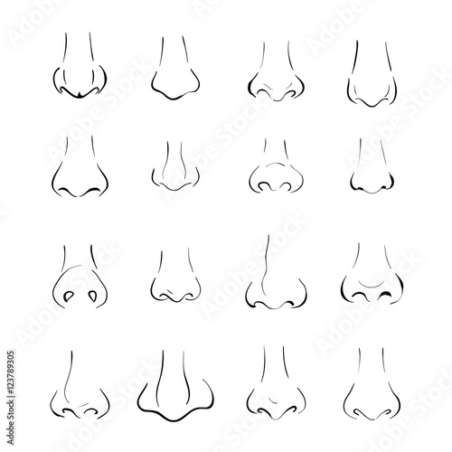different types of nose photo