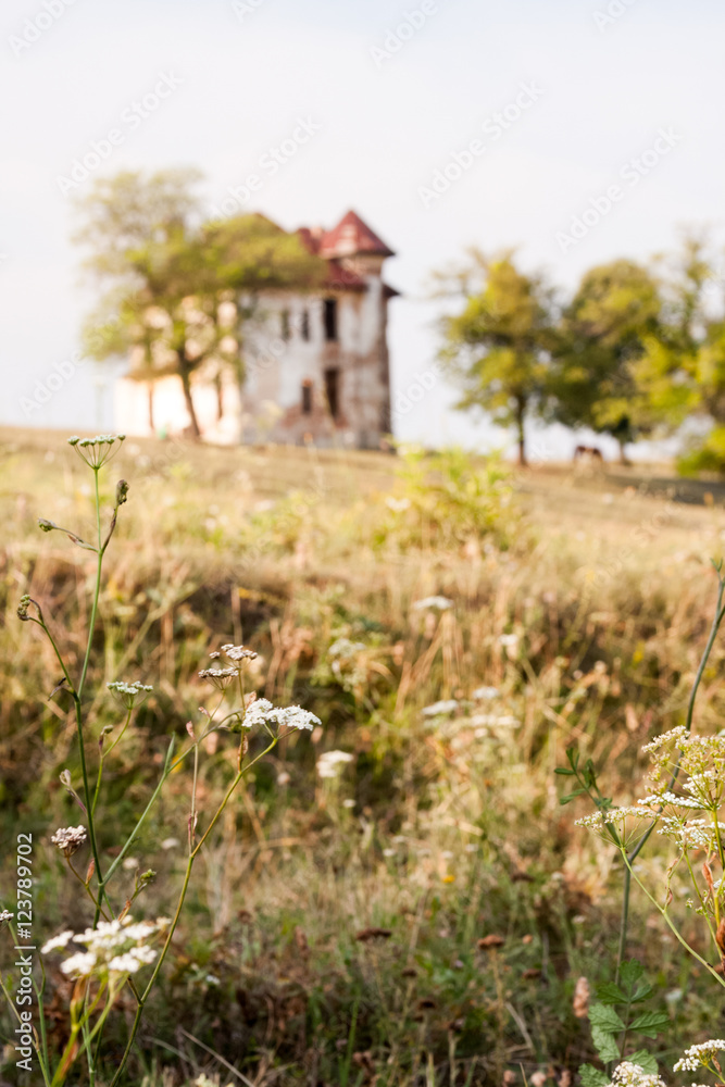 Old, abandoned, ruined house in the field with trees and herbs Old, abandoned, ruined house in the field with trees and herbs