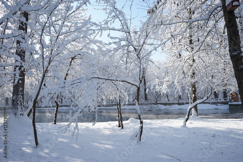 Snowing landscape in the park © ileana_bt