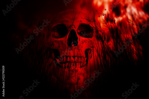 Human skull in the woods,Horror Background For Halloween Concept And Movie Poster Project