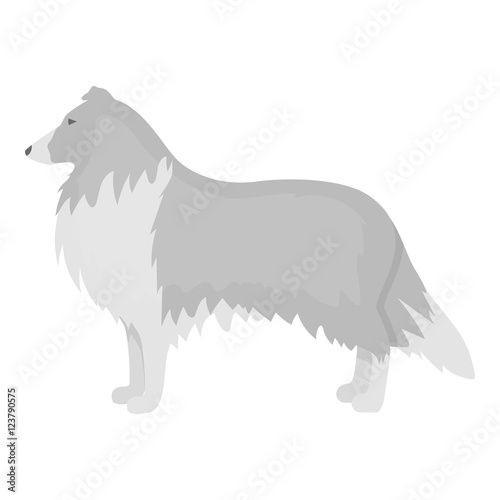 Collie vector icon in monochrome style for web