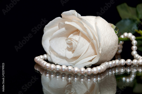 White Rose pearl black background