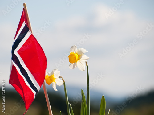 Papier peint Norwegian flag