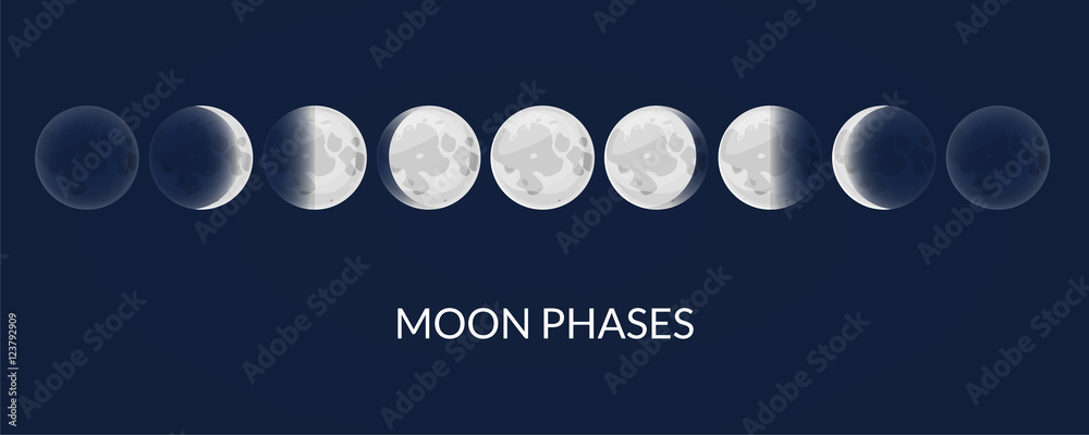 Moon phases, vector illustration Stock Vector | Adobe Stock