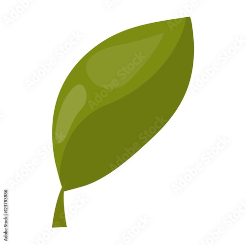 Leaf icon vector illustration.