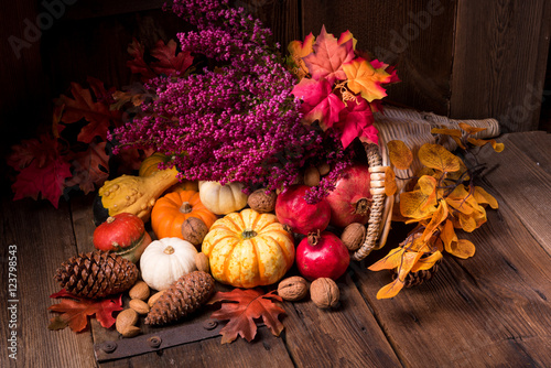 Cornucopia photo