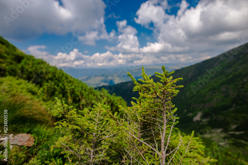 View at Parang mountains,Romania