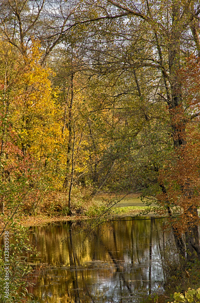 sunny autumn day