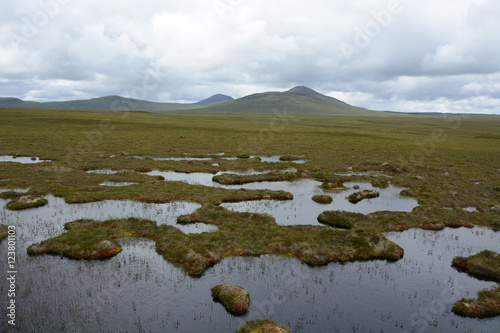 Flow Country Bog Land