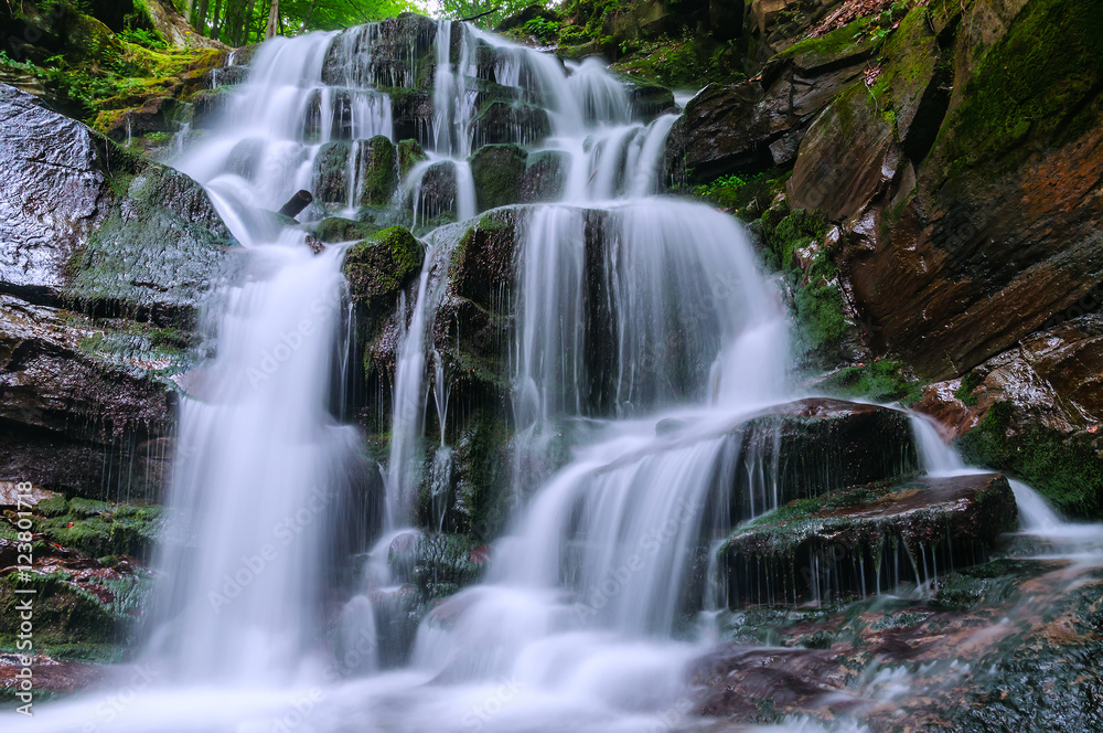 waterfall in the forest waterfall in the forest
