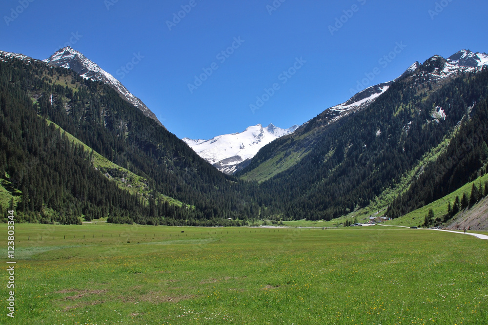 Frühsommer in der Finkau, Zillertaler Alpen, Österreich