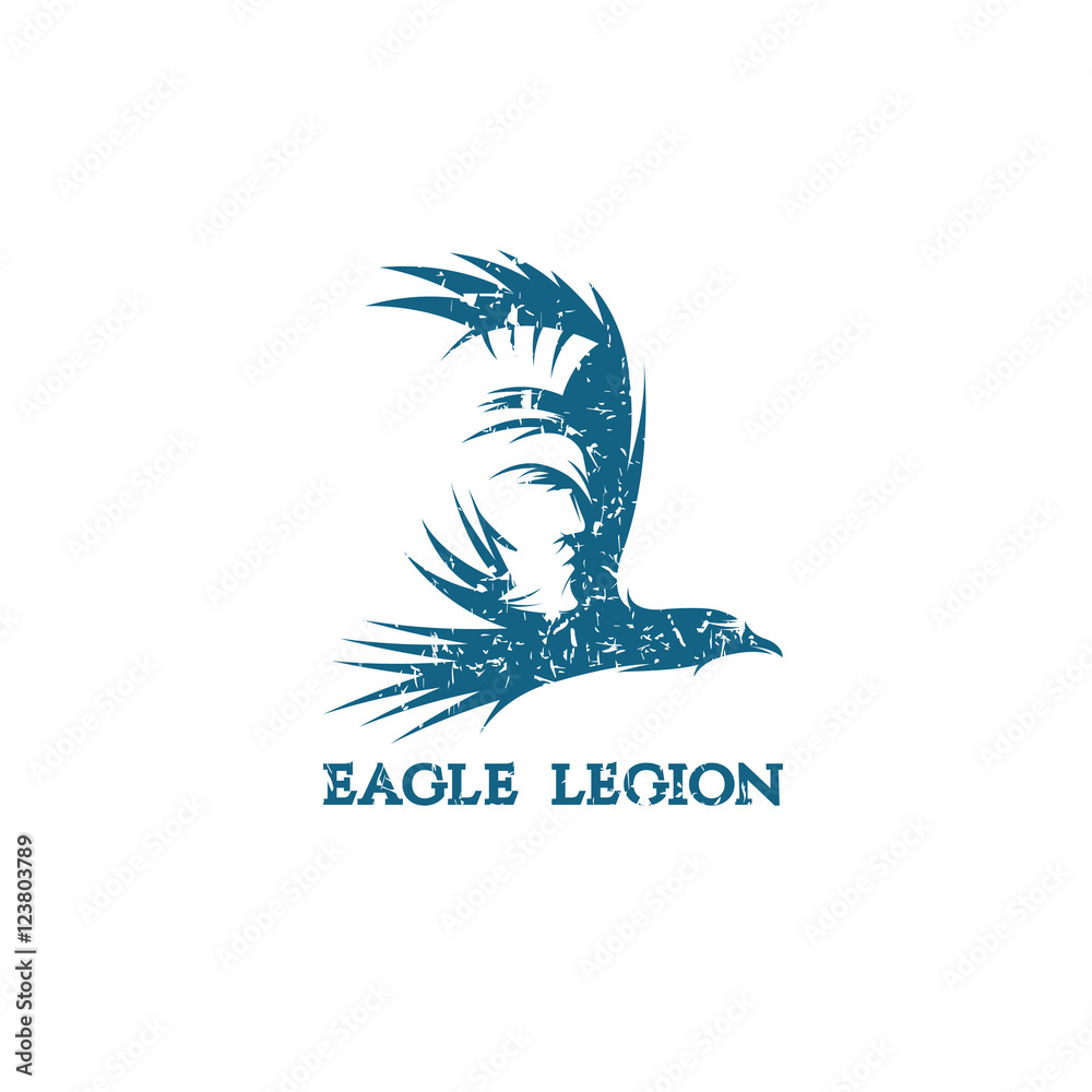 Fototapeta premium grunge negative space vector concept of warrior head in eagle