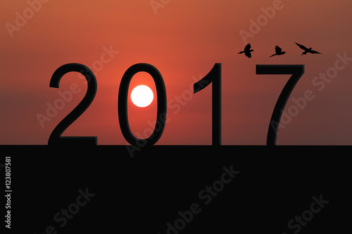 Silhouette of number 2017 on the house roof and sunset in twilig