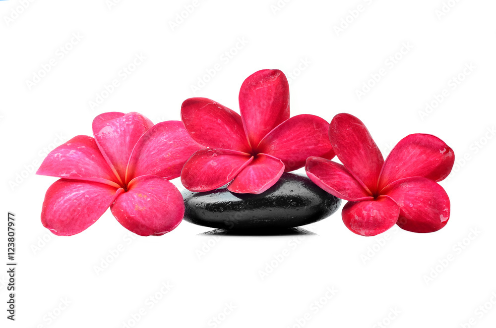 Zen stones with frangipani flower - obrazy, fototapety, plakaty 