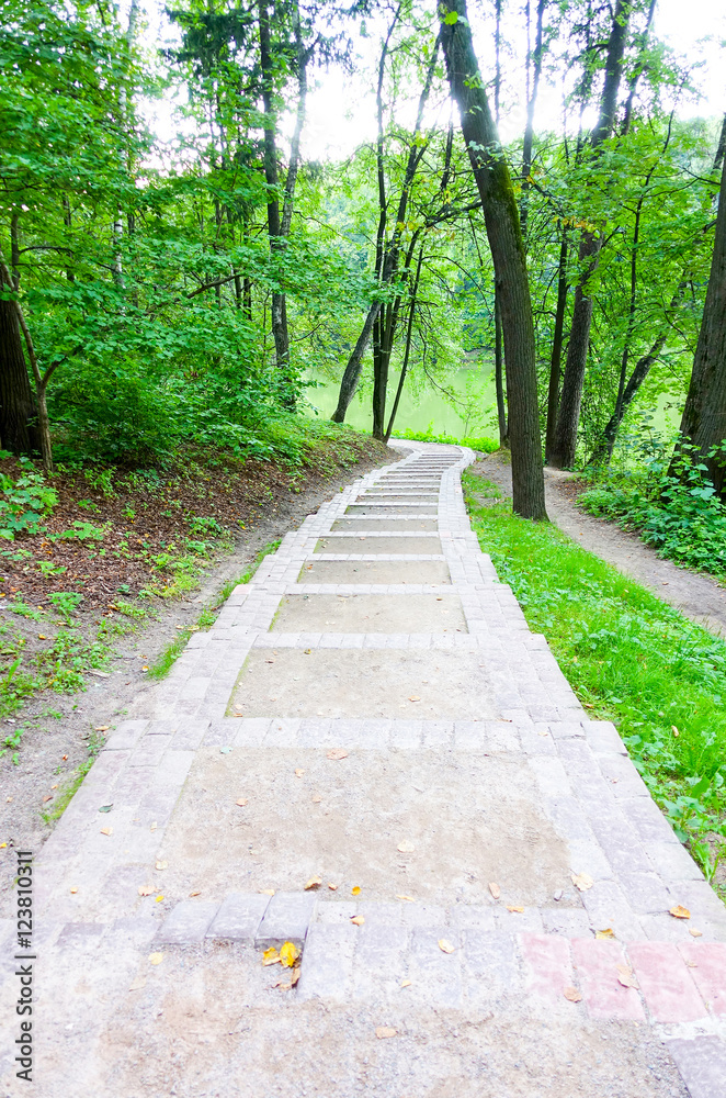 Fototapeta premium The path to the river